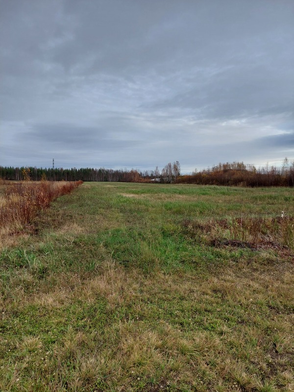 peltoalue, Kyyrönsuontie, Joensuu