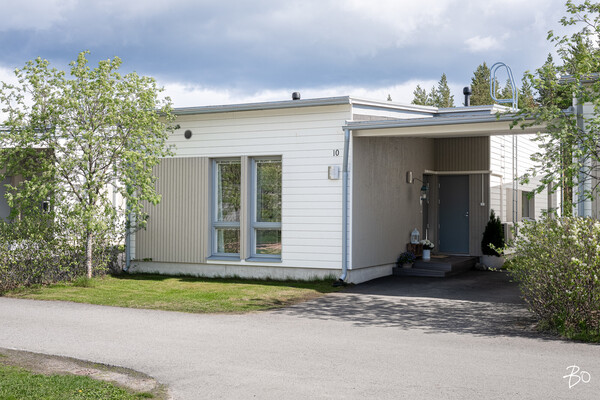 Kivikkokangas