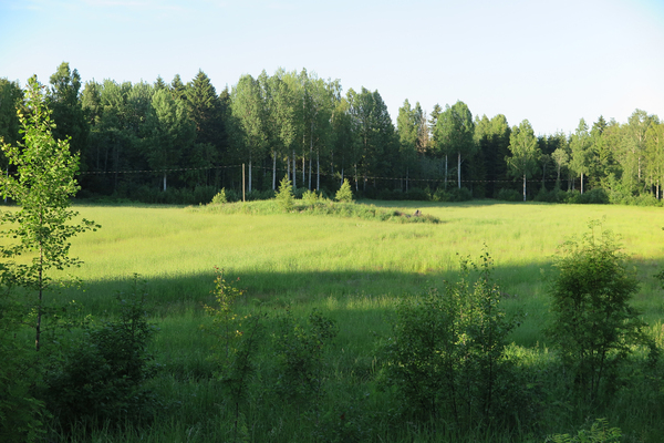 Paukkarintie, Hämeenlinna (485/489)