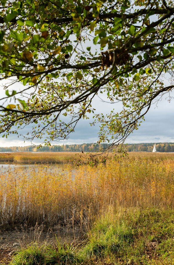 Limisaumatie 10, Porvoo (KRÅKÖ)