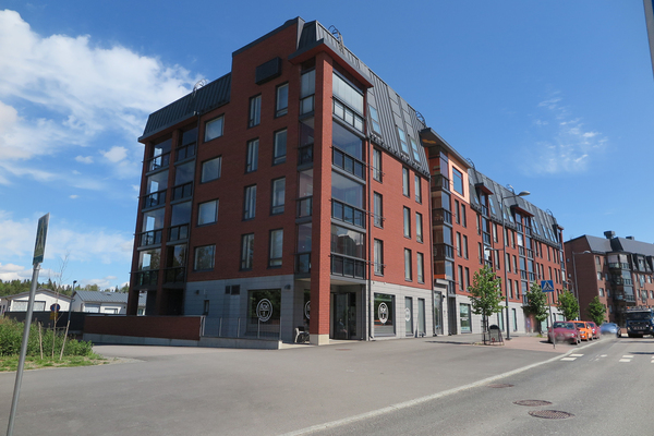 Vuoreksen puistokatu 95, Tampere (Vuores)