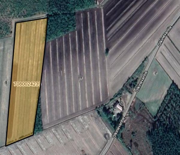 peltoalue, Olkinevantie, Revonlahti