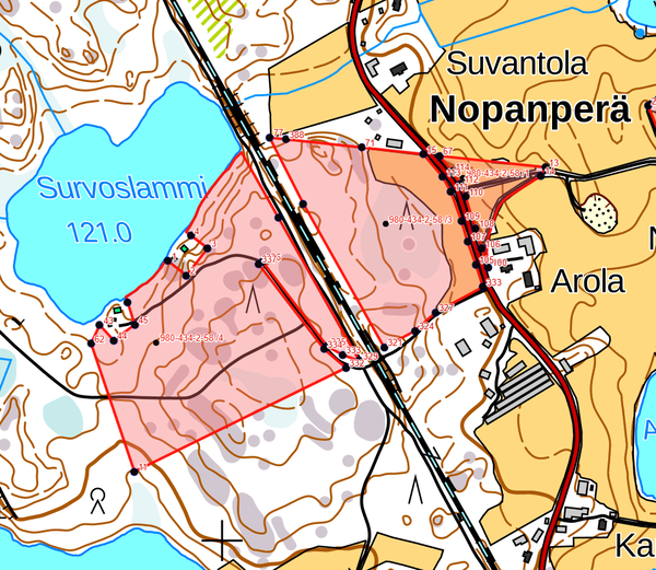 Survoslammin palsta