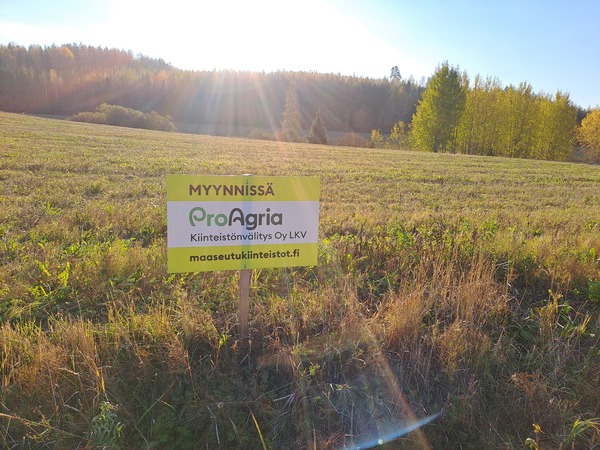 Metsäpalstalle kulkureitti on pellon läpi