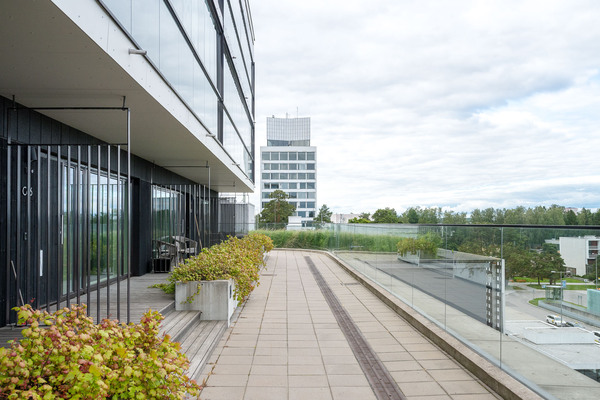 Kirjokansi 1 Tapiola