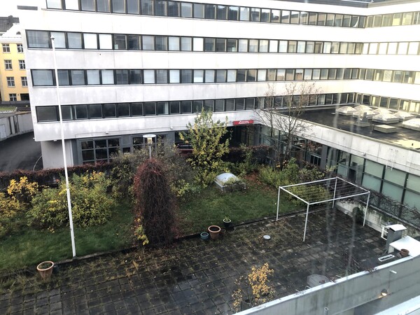 Annankatu 8 Punavuori