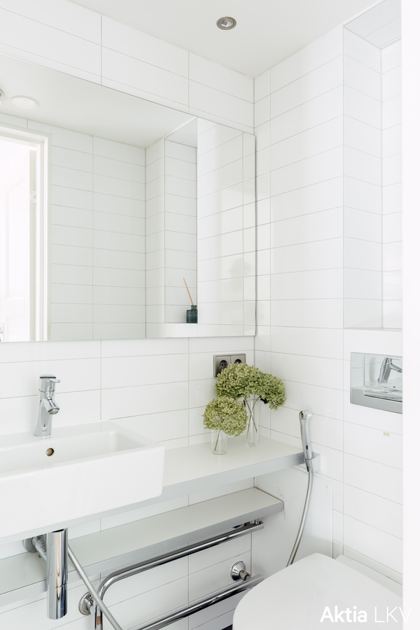 Erillinen valkeahenkinen wc eteisen yhteydessä