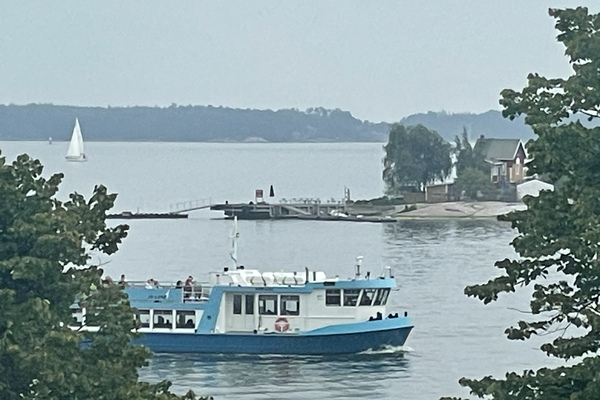 Upea usvaisen päivän maisema keittiön ikkunasta
