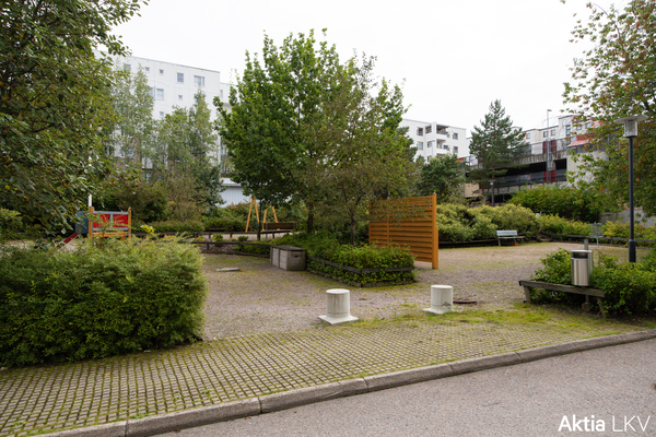 Pihaa