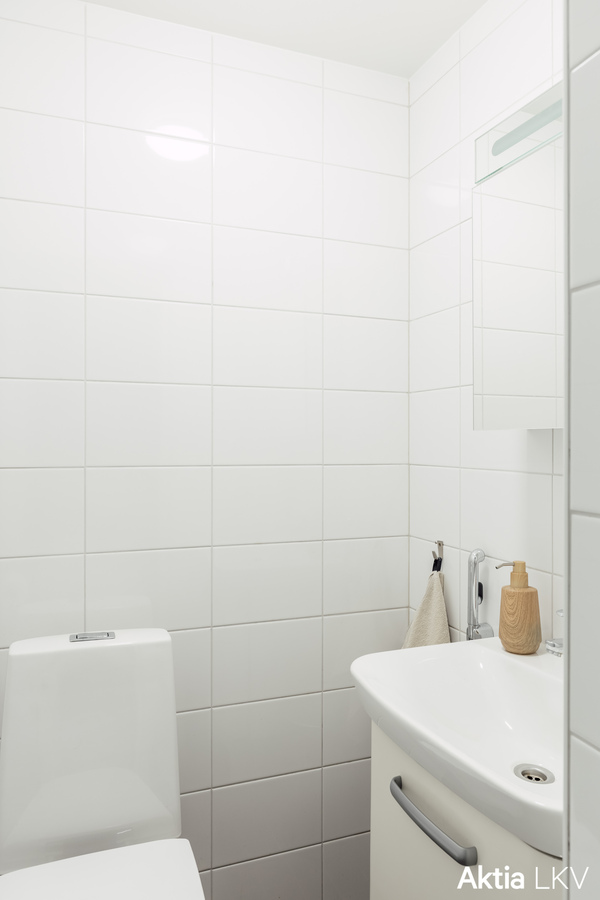 Erillinen wc