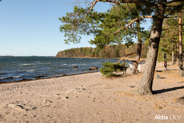 Slaktiksen uimaranta