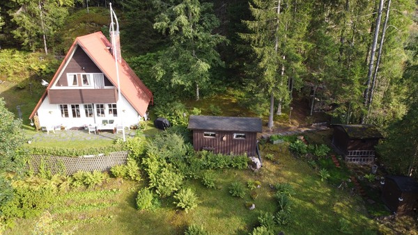 Omistajan ottama kuva
