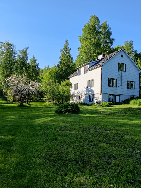 Myyjän ottama kuva