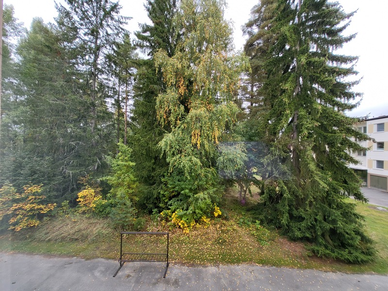 näkymä keittiön ikkunasta