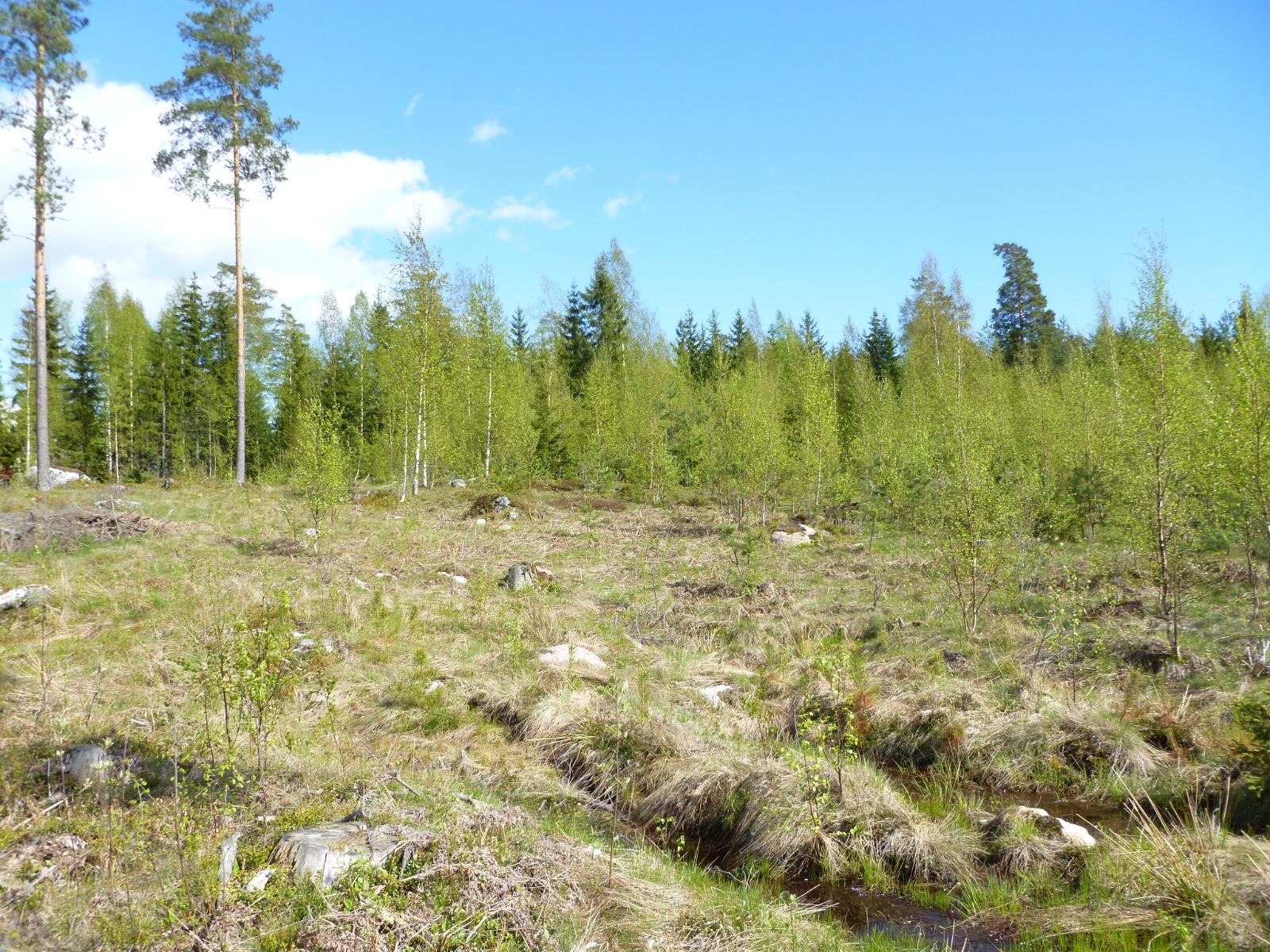 myydään määräala