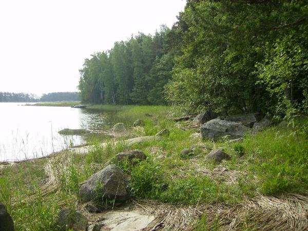 ranta-alue
