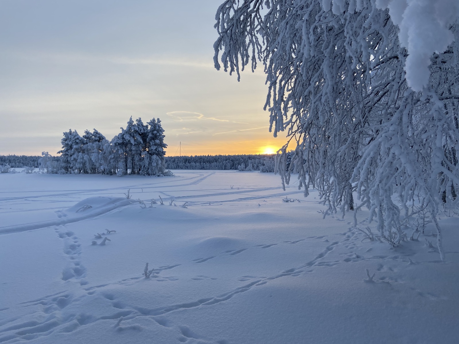 Rannassa venevalkama