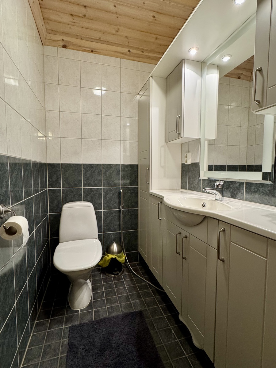 Erillinen wc