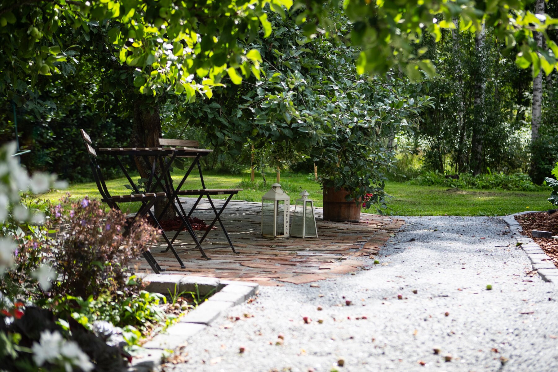 Iltapäivä omenapuiden katveessa