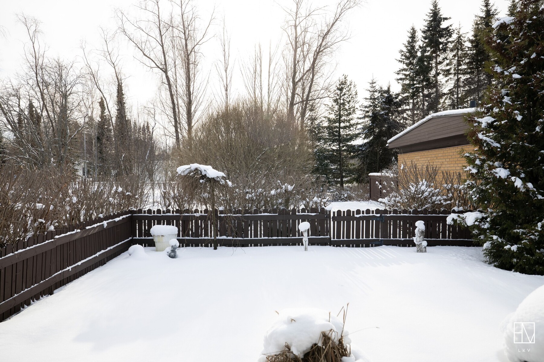 Iso aidattu takapiha on vehreä ja suojainen kesällä