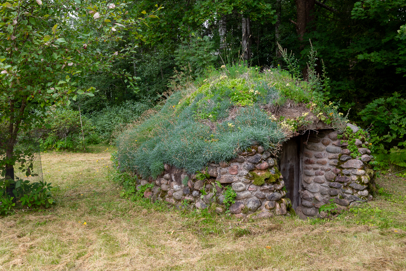 Maakellari