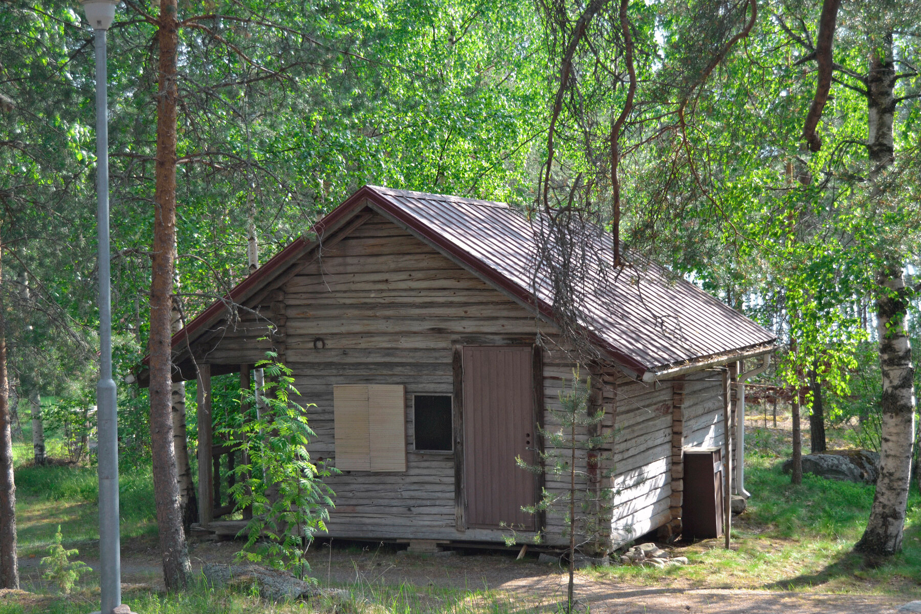 Hirsiaitta/ puuvaja
