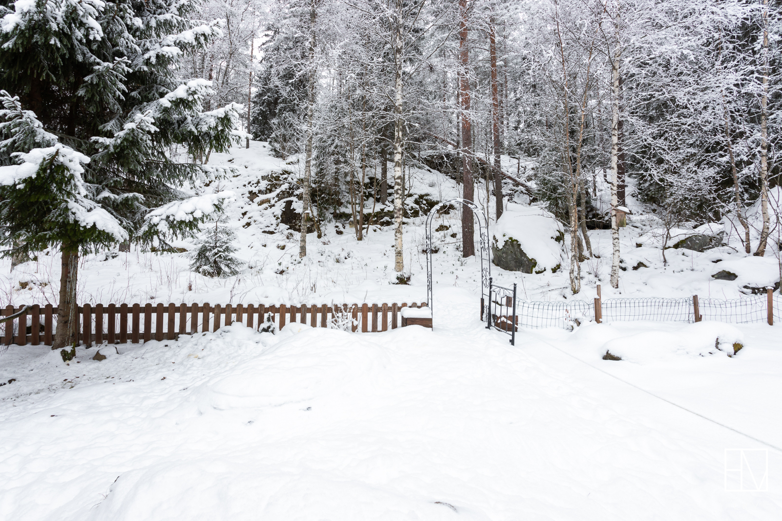 Metsikköön rajoittuva takapiha