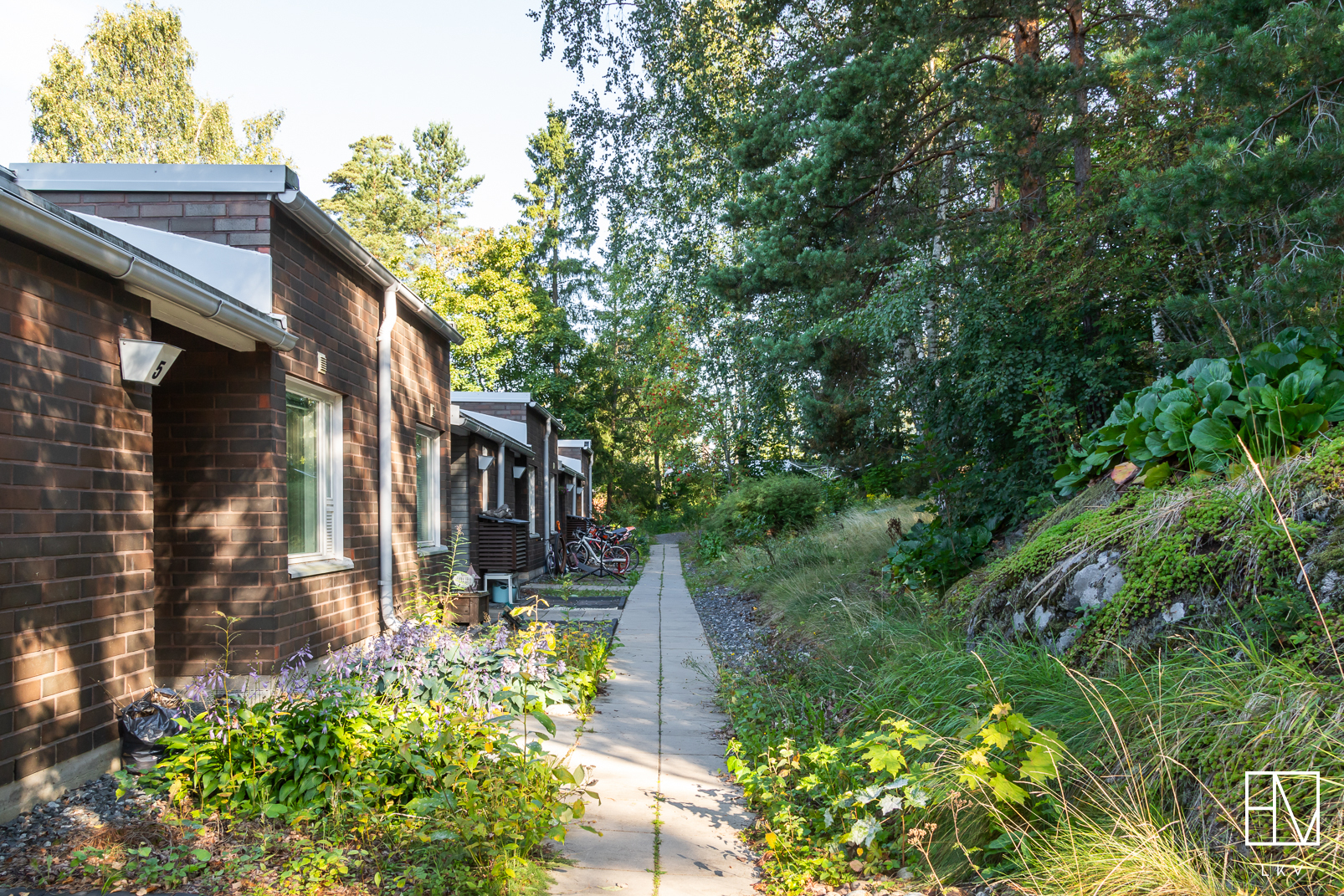 Yläpihalta